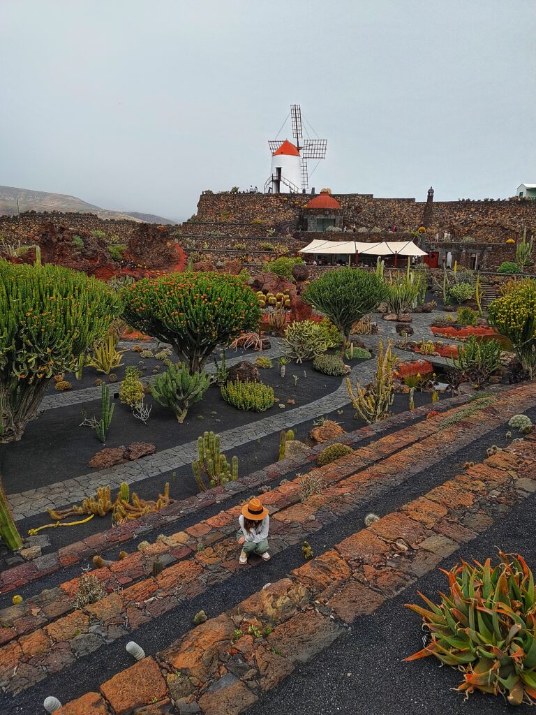 jardín de cactus lanzarote