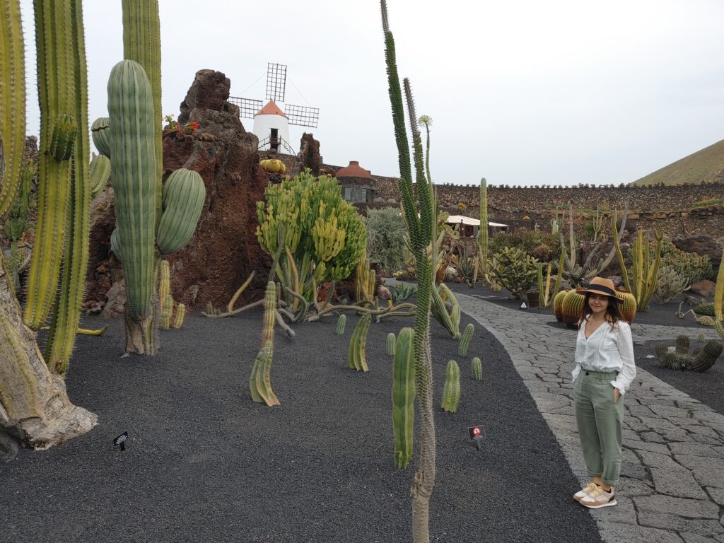 jardín de cactus lanzarote