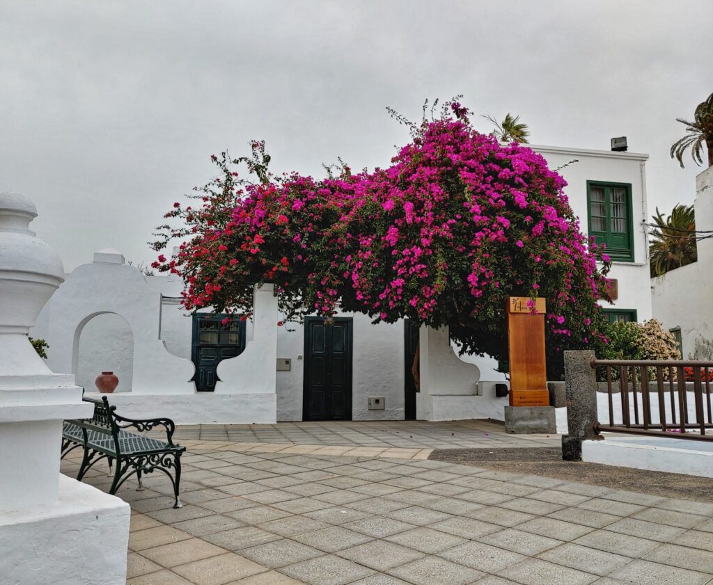 Teguise lanzarore