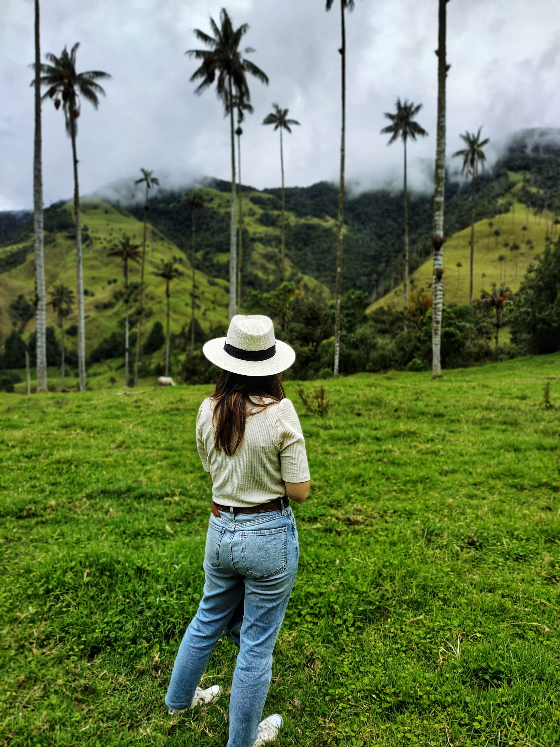 Valle-de-Cocora-Colombia-3